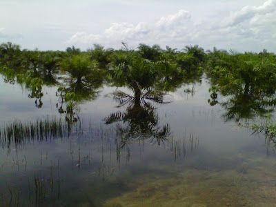 Sungai Bangko Tersumbat, Gubri Instruksikan Normalisasi