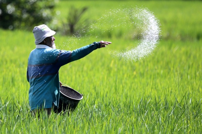 BPS Sebut Nilai Tukar Petani di Riau Naik 6,30 Persen