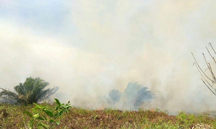 10 Hektare Lahan di Belakang Rumbai Camp Terbakar