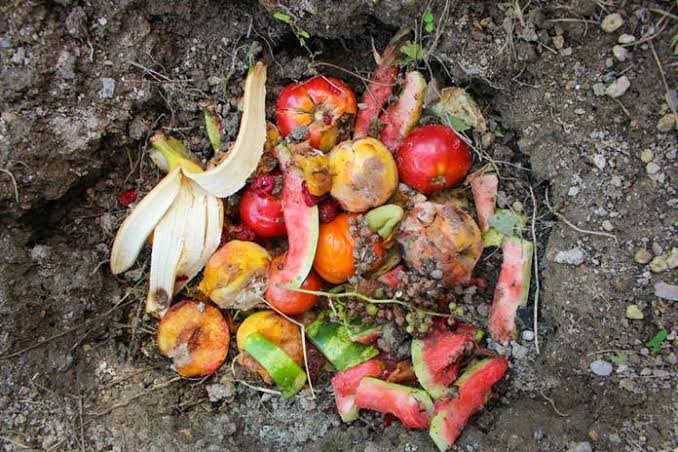 Manfaatkan Limbah Buah dan Sayur, DLHK Riau Buat Eco Enzyme untuk Penjernihan Sungai dan Danau