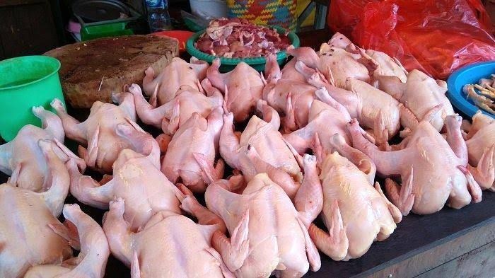 Harga Ayam Ras di Pekanbaru Capai Rp32.000 Perkilogram