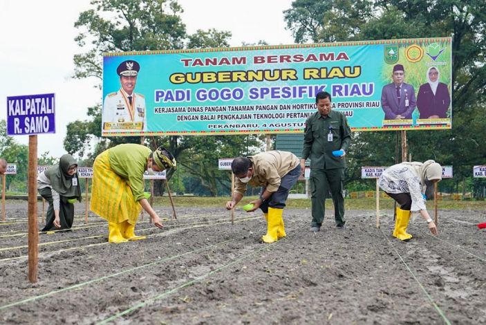 Gubri Akui Meningkatkan Sektor Pertanian Tak Bisa Dilakukan Pemprov Riau Sendiri