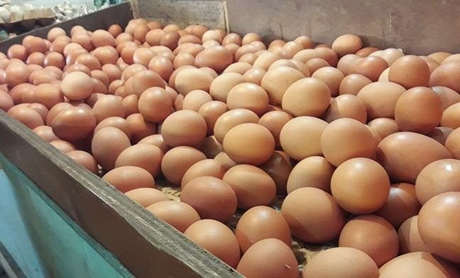 Harga Telur Ayam di Pekanbaru Turun