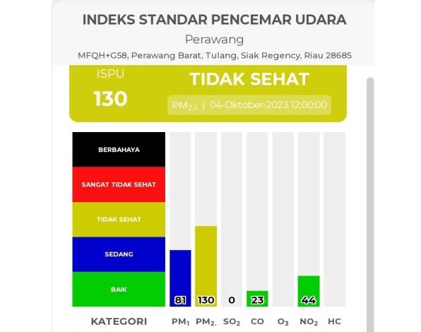 Data ISPUnet Siang Ini, Kualitas Udara Tiga Daerah di Riau Terpantau Tidak Sehat