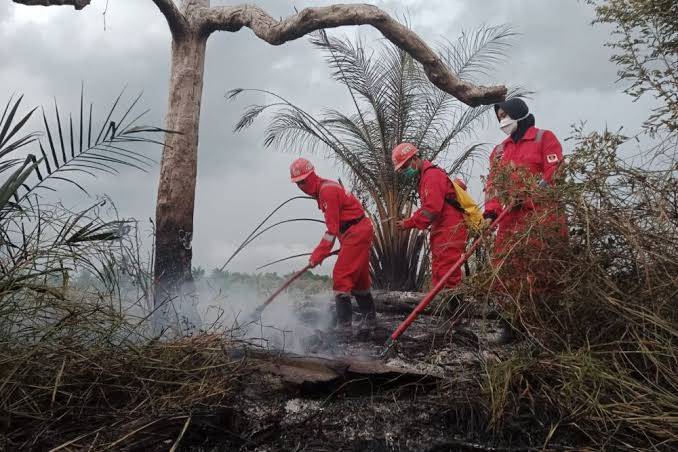 Pencabutan Status Siaga Darurat Karhutla Riau Tergantung Keputusan Gubernur