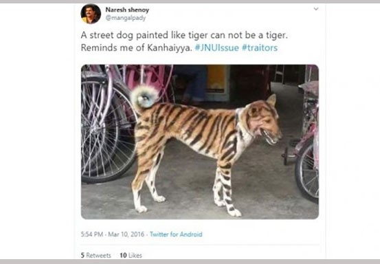Petani di India Ramai-ramai Cat Anjing Jadi Mirip Harimau, Ini Alasannya