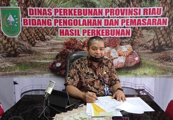 Turun Sedikit, Harga TBS Sawit Riau Masih di Atas Rp2.000