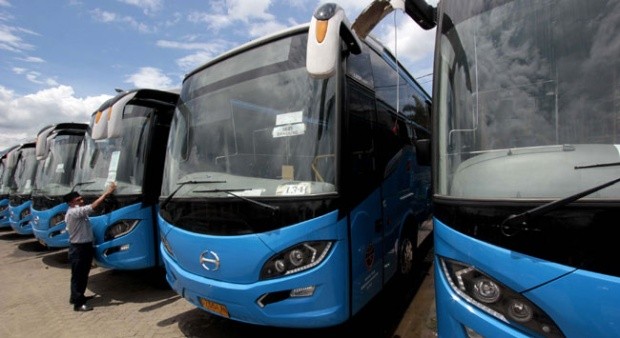 54 Bus Hibah Kemenhub RI Terlantar di Terminal BRPS Pekanbaru