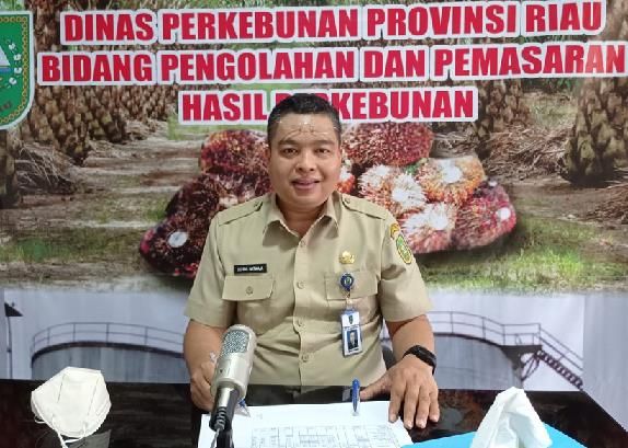 Awal Tahun yang Menggembirakan, Harga Sawit di Riau Naik Lagi