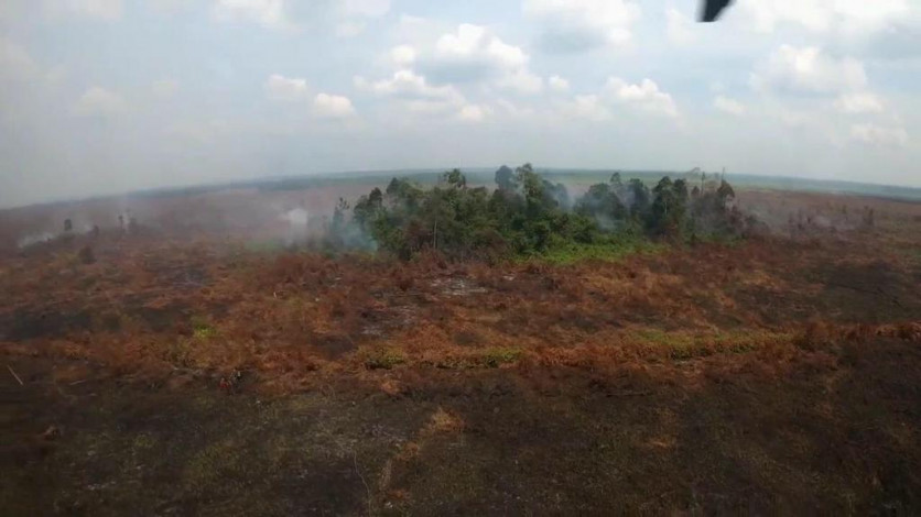 Luas Lahan yang Terbakar di Riau Capai 509 Hektare