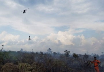 Perusahaan Perkebunan di Riau Teken Surat Pernyataan Komitmen Cegah Karhutla