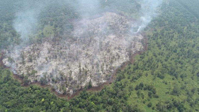 20 Hektare Lahan Terbakar di Kecamatan Mempura Siak