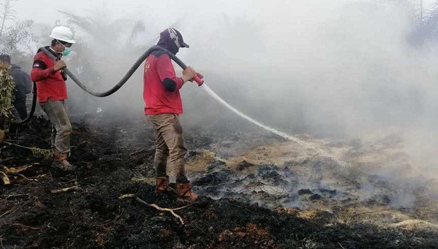 20 Hektare Lahan di Sekitar Sumur Minyak PT BSP Siak Terbakar