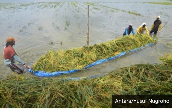 Ilmuwan Ingatkan Curah Hujan Ekstrem Landa Asia Tenggara