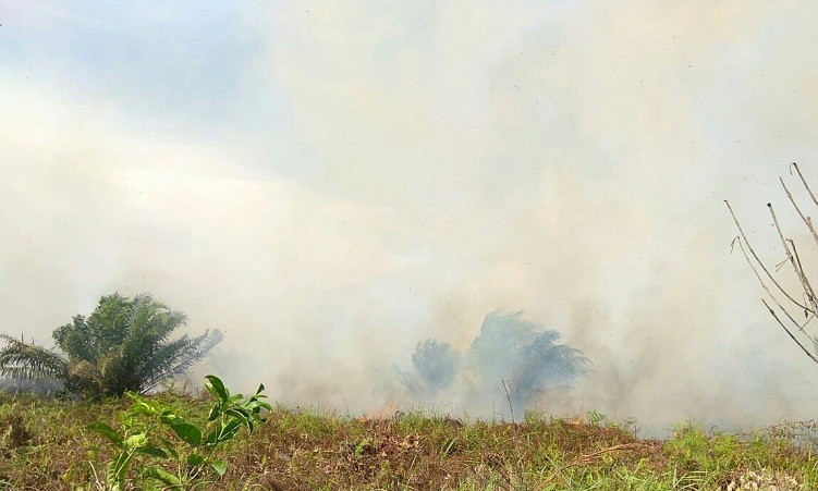 Empat Hektare Lahan di Desa Pedekik Bengkalis Terbakar