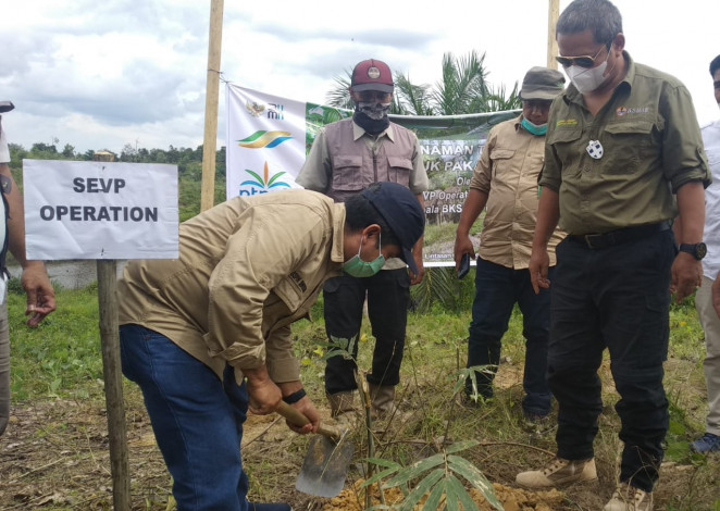 Sinergi PTPN V - BBKSDA Riau Bentuk Tim Mitigasi Gajah Sumatera