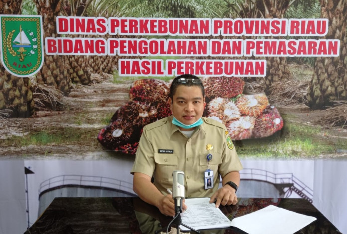 Walau Turun, Harga TBS Kelapa Sawit di Riau Masih di Atas Rp2.000