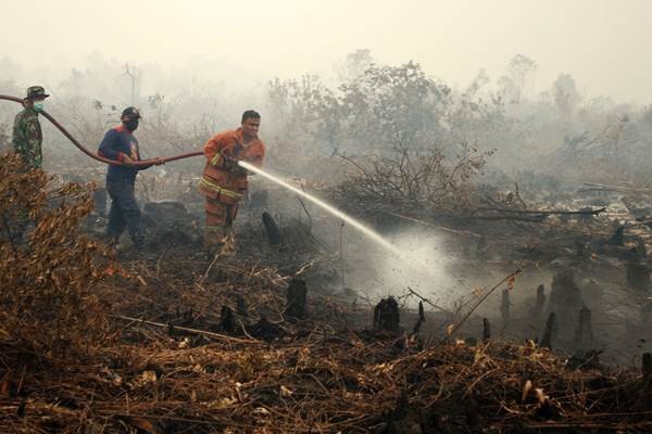 Empat Kabupaten di Riau Tetapkan Status Siaga Darurat Karhutla