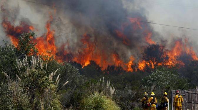 Karhutla Mulai Mengancam Riau, 4 Daerah sudah Terjadi Kebakaran