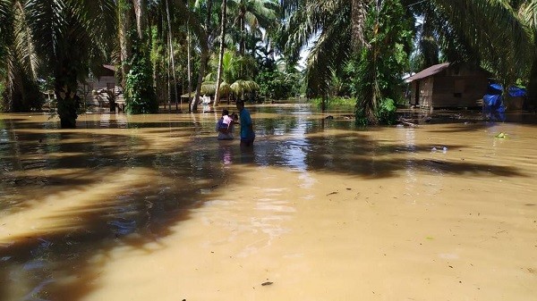 Banjir di Ibukota Sudah Surut, 2 Kecamatan di Rohul Masih Terendam