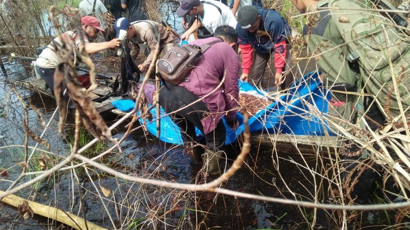 Diserang Harimau, Petani di Bengkalis Ditemukan Tanpa Kepala