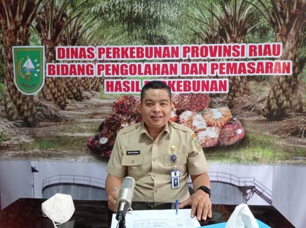 Kabar Baik, TBS Sawit Riau Naik Pekan Ini, Jadi Rp 2.265,01/Kg