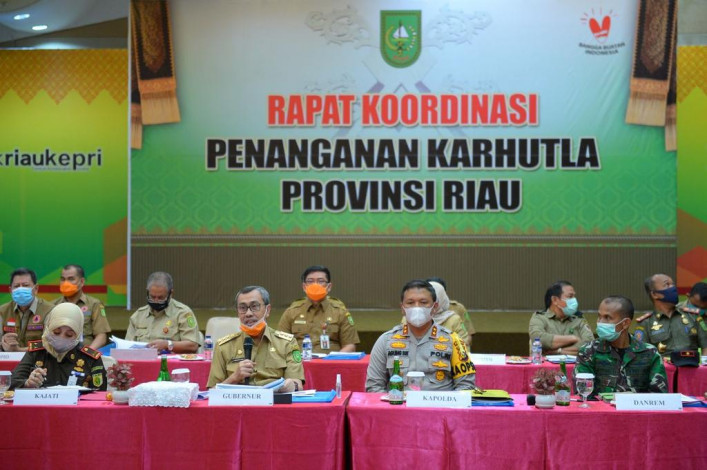 Pemprov Riau Klaim Luas Lahan Terbakar Tahun 2020 Turun 62 Persen