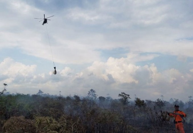 Luas Lahan Terbakar Riau Mencapai 4.582,62 Hektare