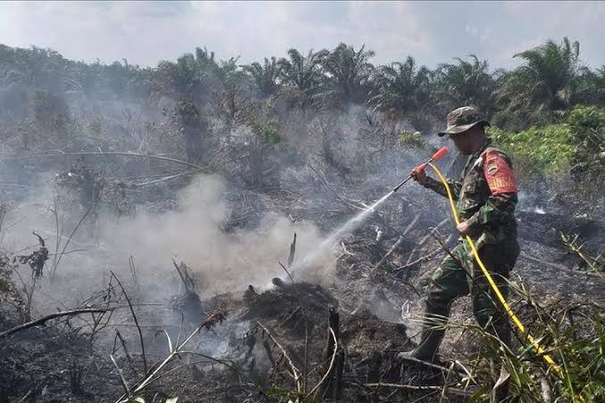 Sejak Januari, Terjadi 53 Kebakaran Lahan di Pekanbaru