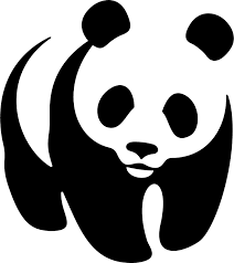 Ini Kata WWF Soal Penjual Kulit Harimau Divonis Empat Tahun