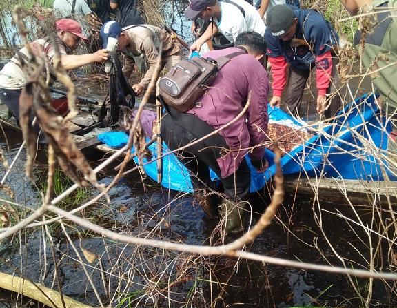 BBKSDA Riau Duga Warga Tewas Tanpa Kepala di Bengkalis Diterkam 2 Harimau