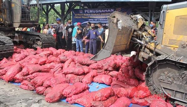 Bea Cukai Bengkalis Musnahkan 1.155 Karung Bawang Merah Hasil Tangkapan