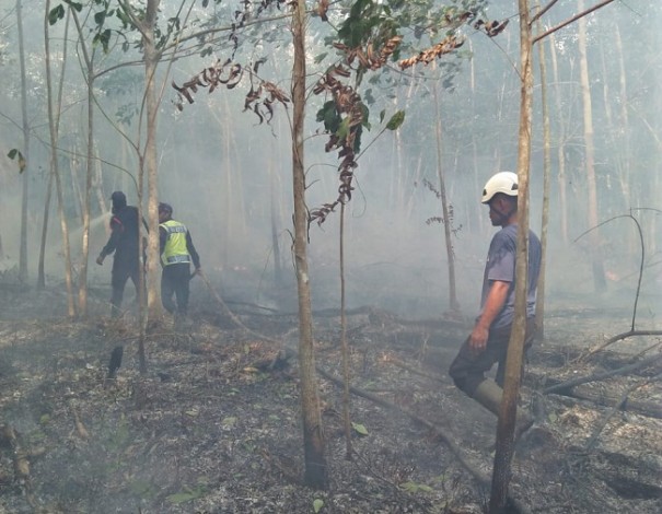 Polda Riau Tetapkan 26 Tersangka Karhutla, Mayoritas Petani