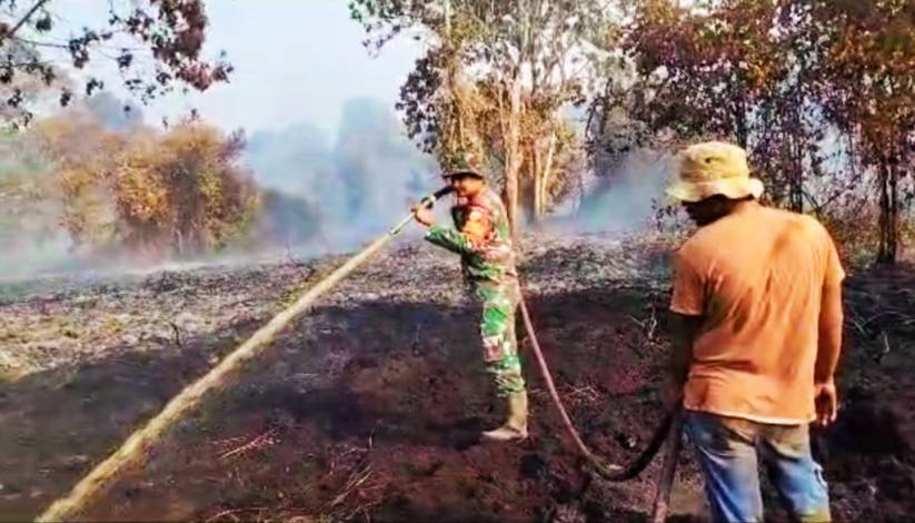 Lahan Gambut Dua Desa di Bonai Darussalam Diduga Dibakar, Polres Rohul Lakukan Penyelidikan