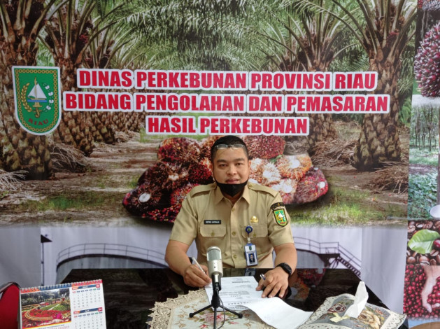 Harga Sawit di Riau Naik Lagi, Tembus Rp2.800 Perkilogram
