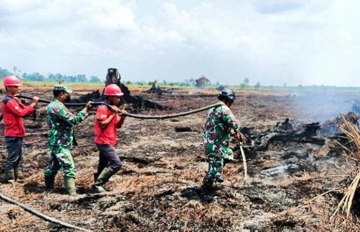 Mudah Terbakar karena Sudah Rusak, Kondisi Gambut di Riau Ibarat Spons Kering