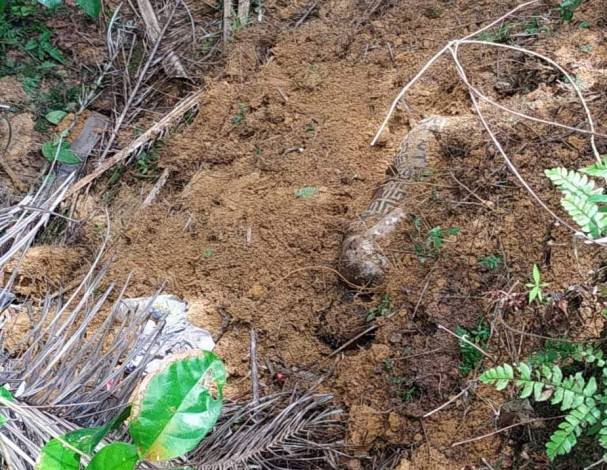Warga Temukan Mayat di Timbunan Tanah, Diduga CS RS Ibunda Bagan Batu yang Hilang