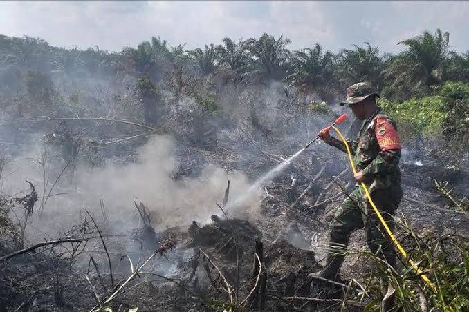 Tiga Wilayah di Pekanbaru Rawan Kebakaran Lahan, Masyarakat Bisa Lapor ke 08117651464