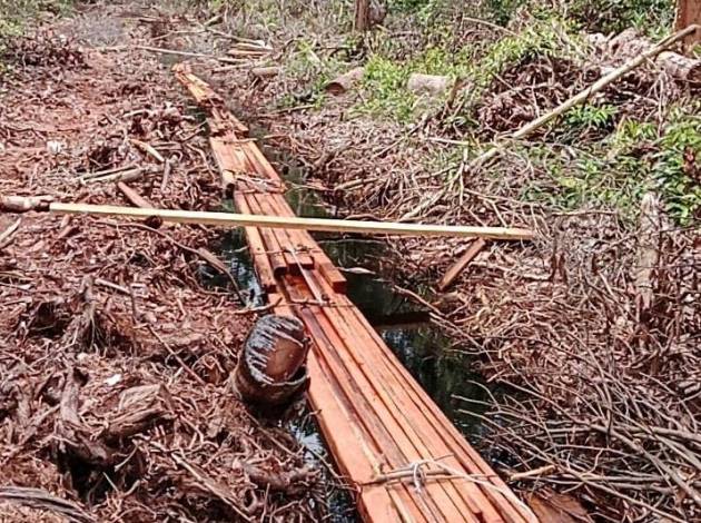 Petugas Temukan Tumpukan Kayu di Hutan Desa Sungai Linau, Diduga Illegal Logging