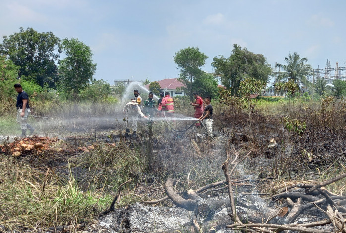 90 Persen Lahan di Pekanbaru Ternyata Sengaja Dibakar