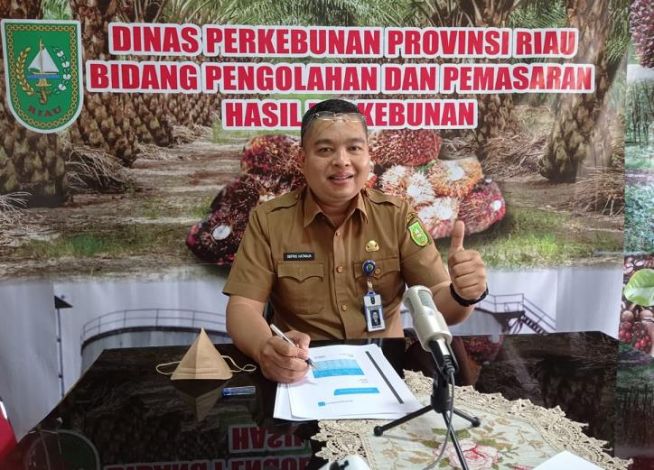 Harga Sawit Riau Semakin Berkibar, Tembus Rp4.183,51 Perkilogram