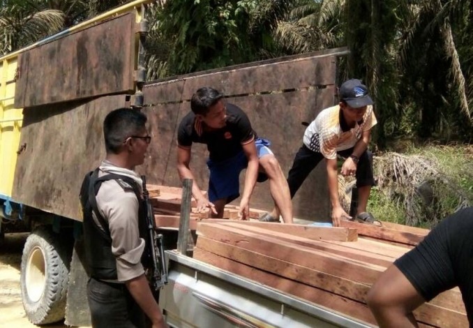 Angkut Kayu tak Berdokumen, Truk dan 2 Pelaku Ditangkap Polisi