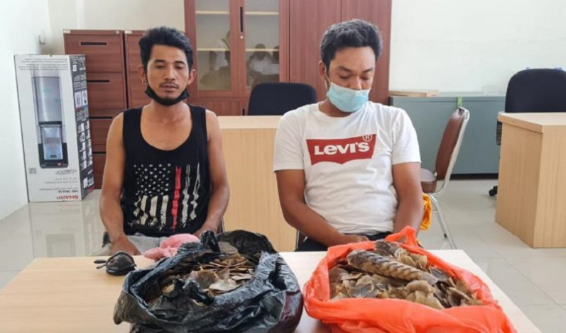 Polda Riau Tangkap Penjual Sisik Trenggiling di Pekanbaru