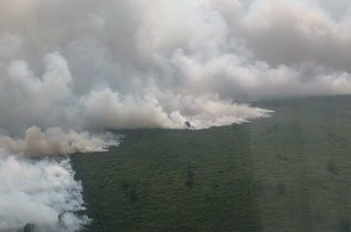 Cegah Karhutla di Riau, KLHK Lakukan Modifikasi Cuaca Hingga Pengendalian Operasional