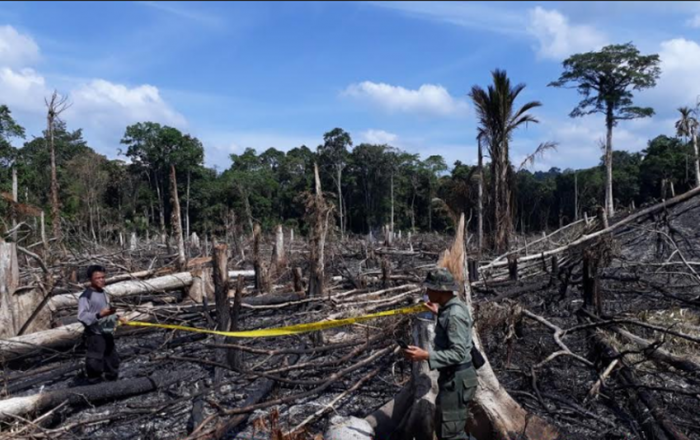 Polda Riau Pastikan Satu Perusahaan Tersangka Karhutla