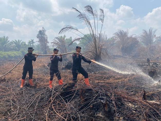 Personel Brimob Riau Berjibaku Padamkan Api Karhutla di Rohil