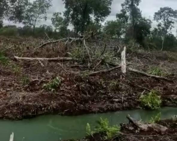 Lahan Milik Sekretaris Nasdem Siak Diduga Diserobot PT AA, Perusahaan Klaim Masuk Kawasan Konsesi