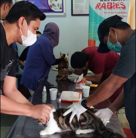 5.023 Ekor Hewan Peliharaan di Riau Disuntik Vaksin Rabies
