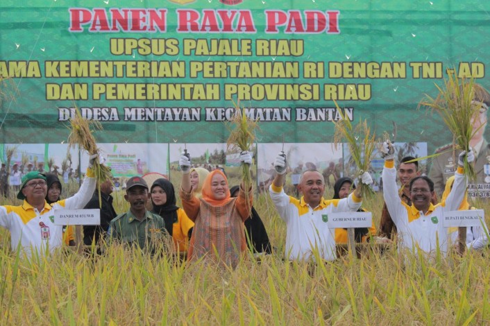 Gubernur Riau Panen Raya di Bengkalis