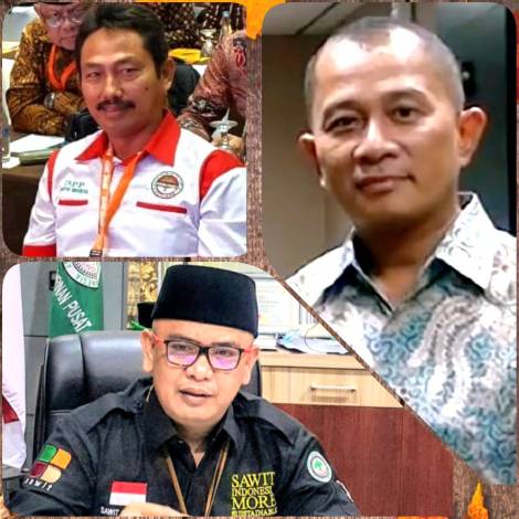 Rp 330 Miliar Melayang dari Riau, Tiga Asosiasi Sawit Indonesia Angkat Bicara
